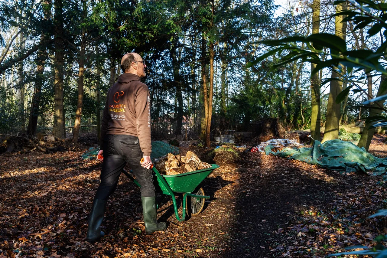 oesterzwammerij stadstuinbouw fotocredits fotostudio vlekke