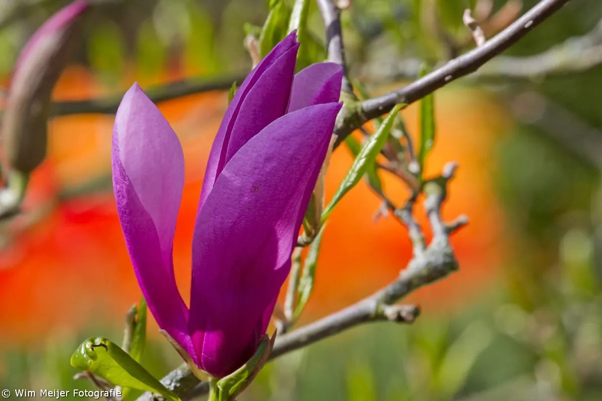 tumblr n44bslkszk1svvyvco1 1280