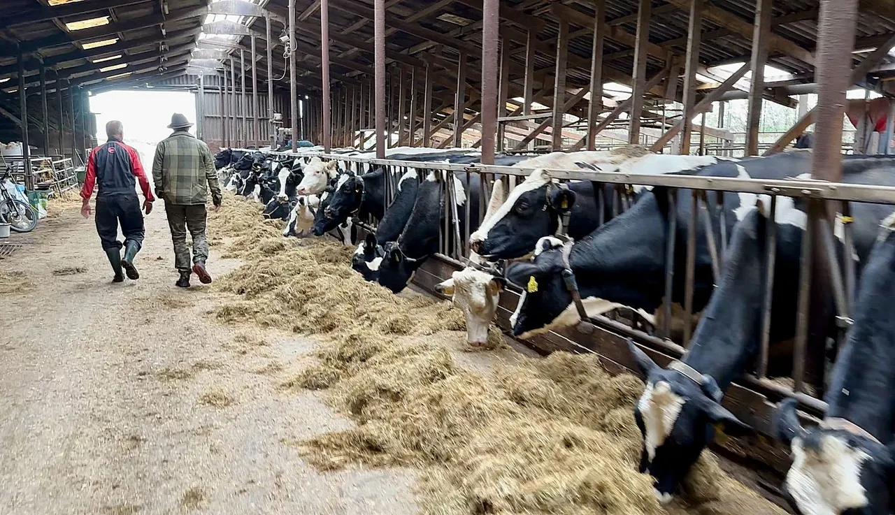 whatsapp image 2023 11 04 at 171803