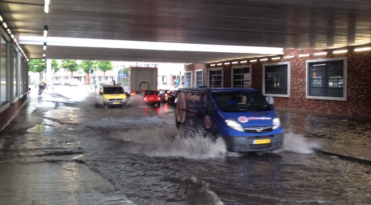 13509328 1090387191023071 465561606 o