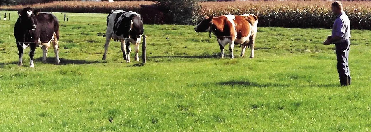 leeuwenthomcolumnvn 2