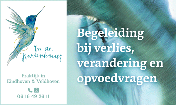 In-de-Hartenkamer-BB-300x180-x2_v2