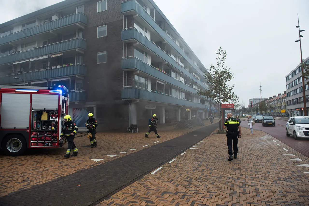 120228108 3260470044052239 5728139287567474425 o