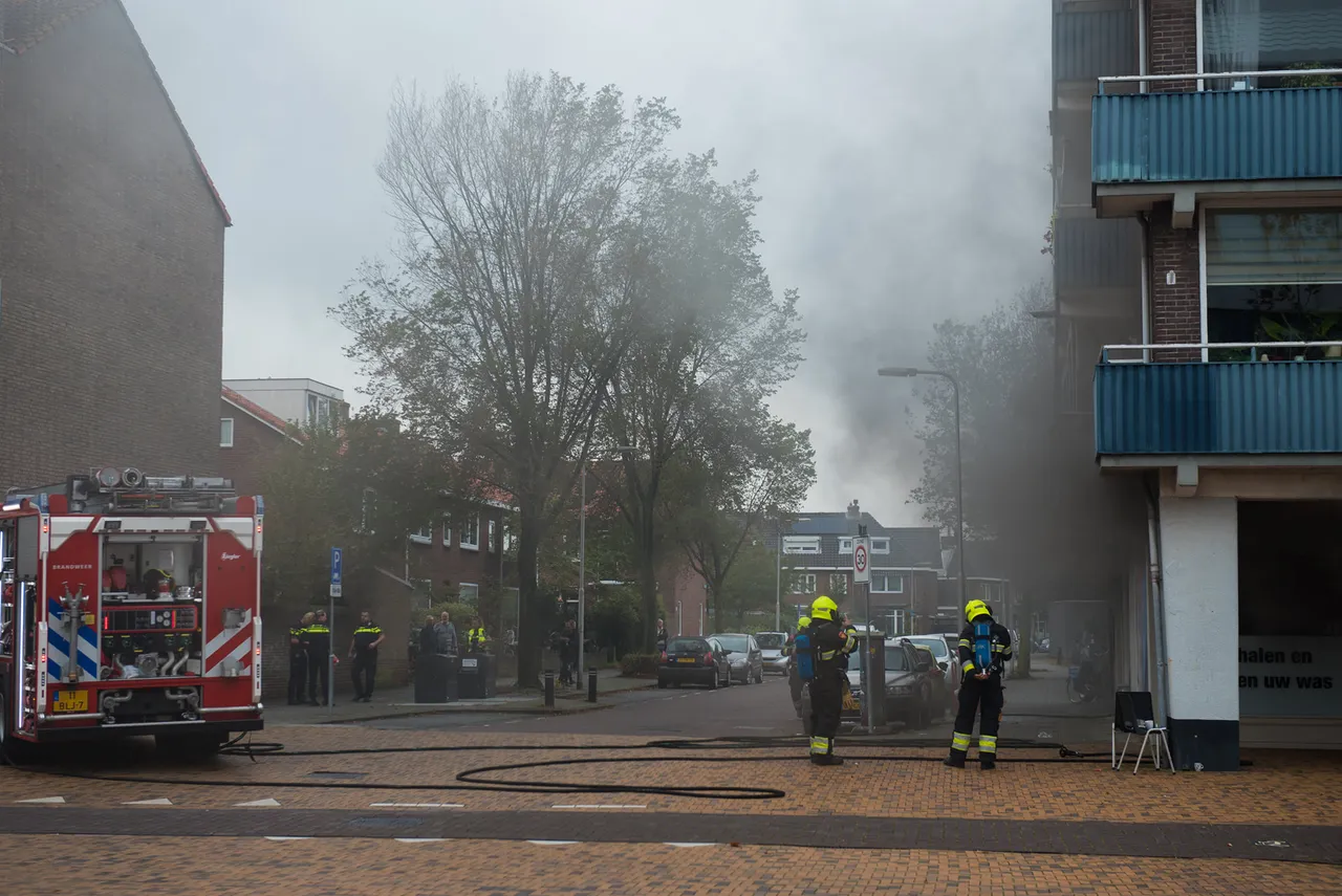 120305115 3260046347427942 3982714796363289481 o