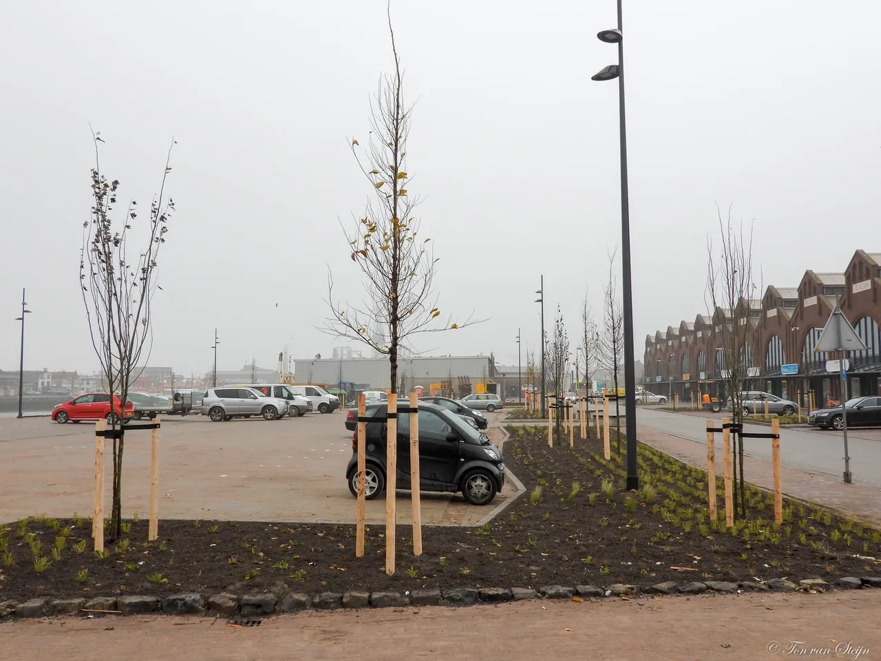 128353274 3437950642970844 2483758356816555349 o