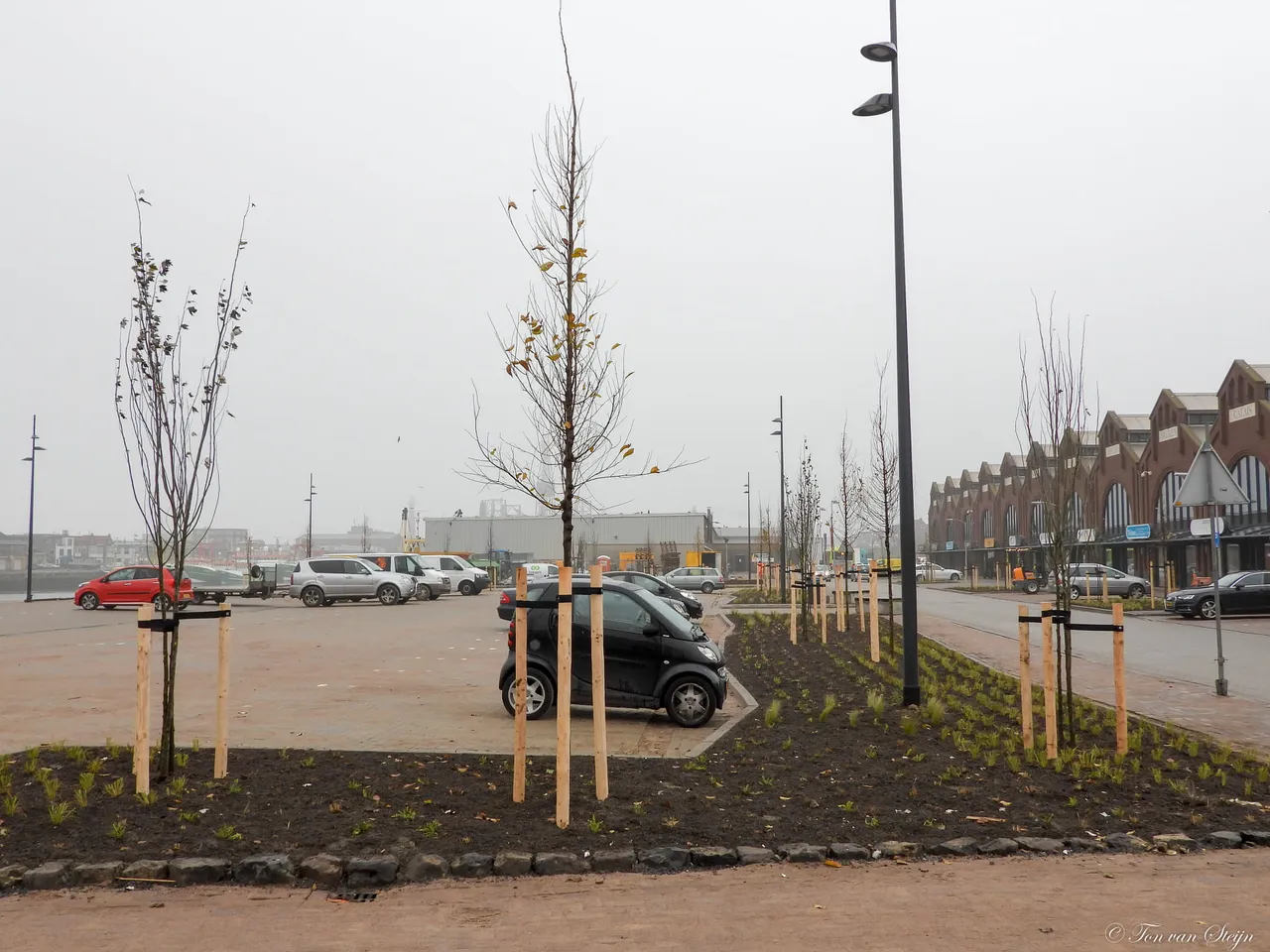 128353274 3437950642970844 2483758356816555349 o