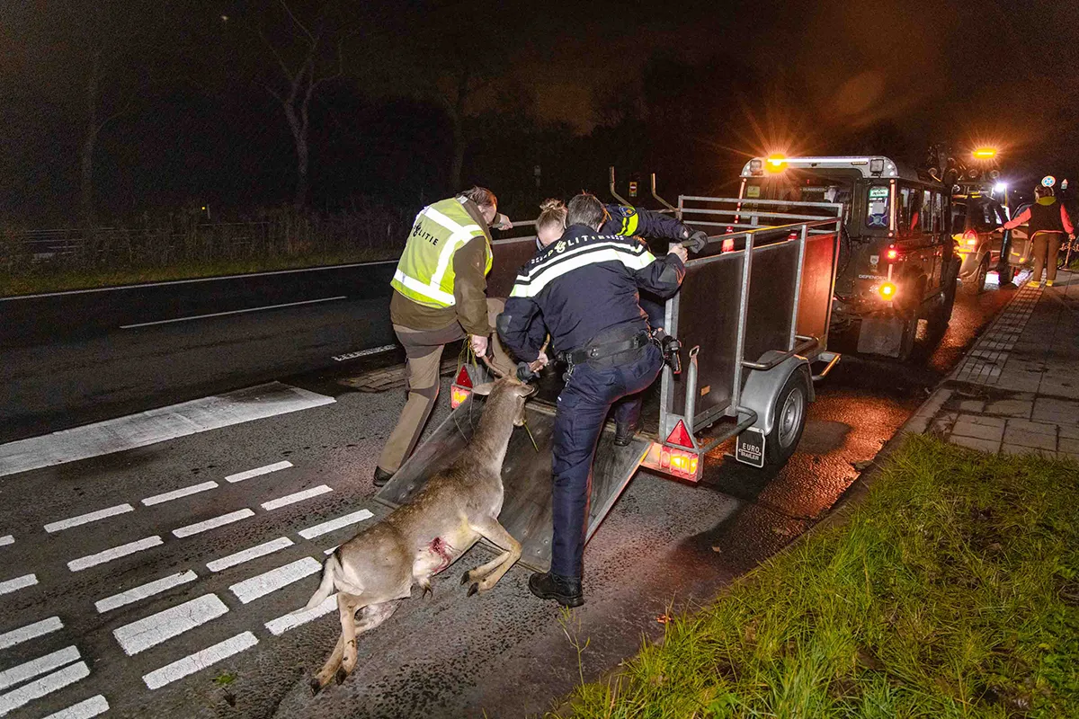 13 november 2021 nieuwsfoto zeeweg 07