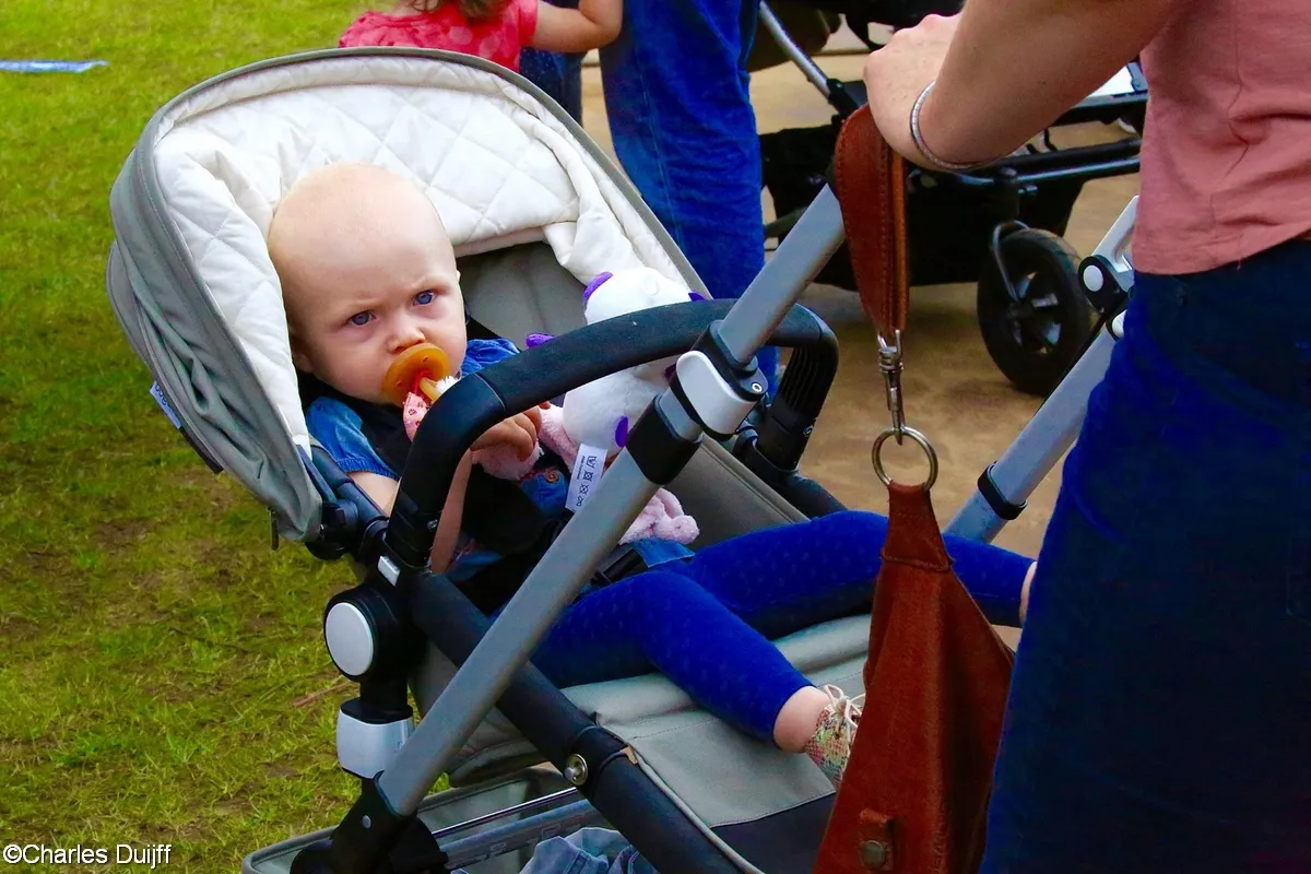 13661764 1166150376759758 2167568142714906597 o