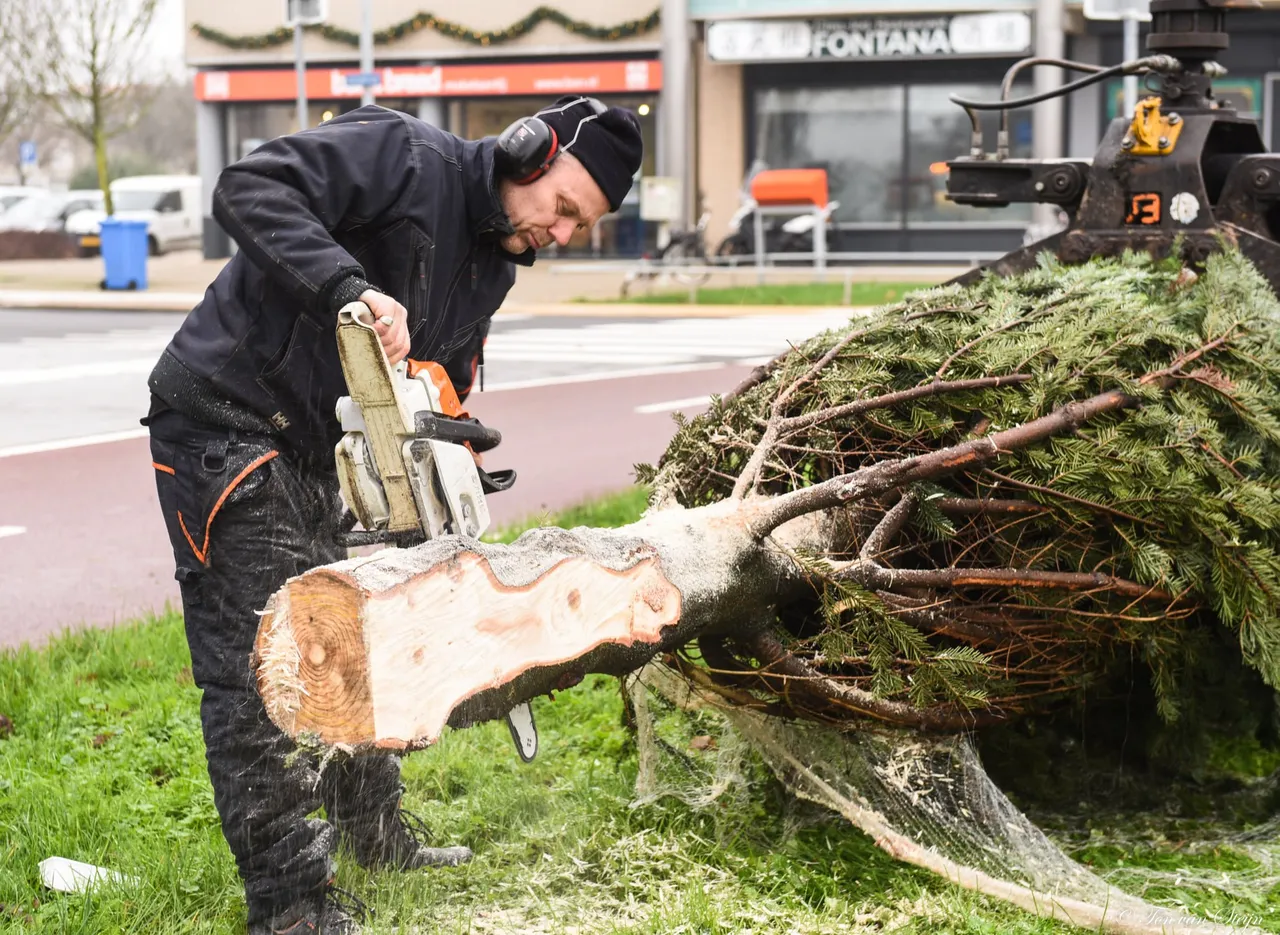 263979057 4500701030029128 165323162553034773 n