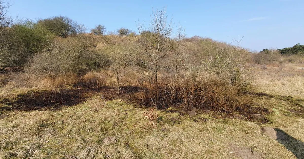 277079125 4870112649773143 2602766413301562783 n