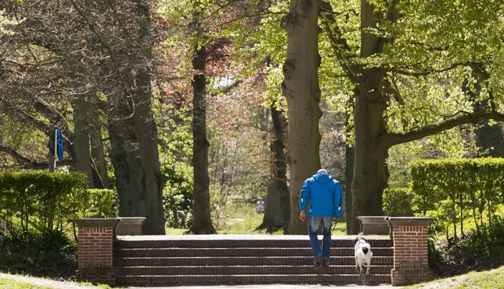 561532f8 1583 4e70 8404 4ce0282987fa banner