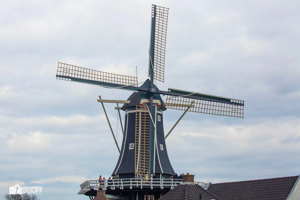 adriaan1