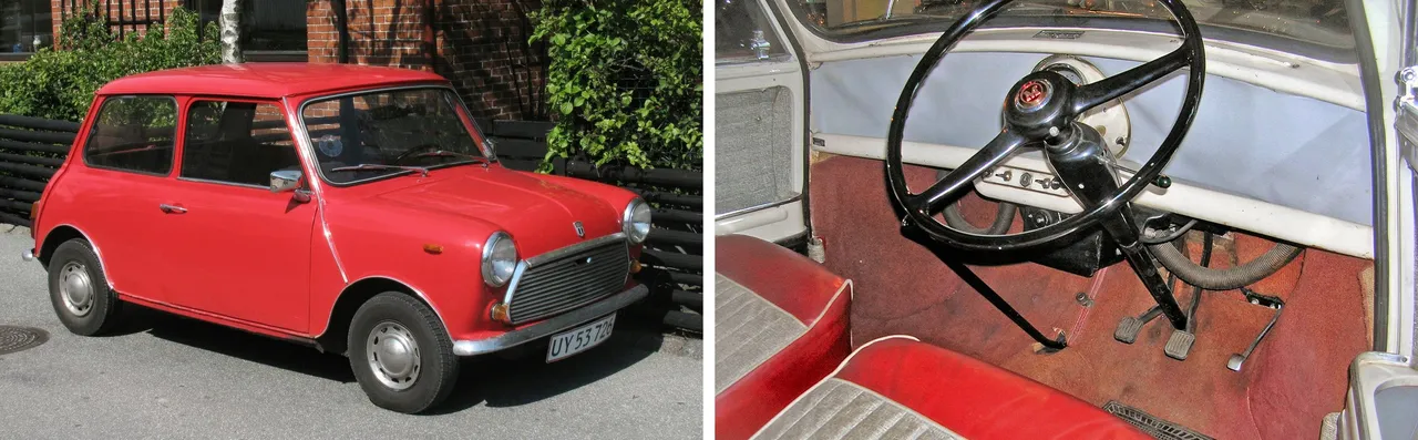 combi rode mini met pookje