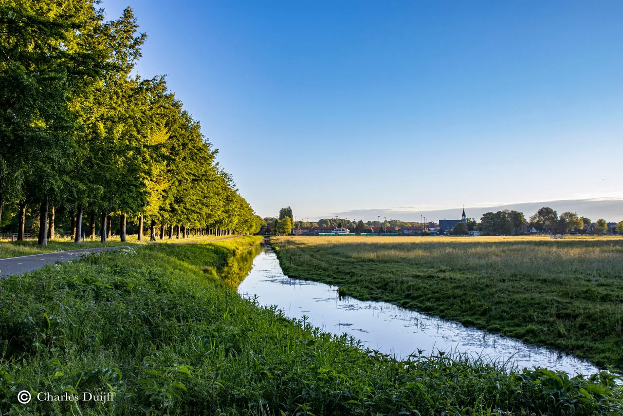 elswlaan2