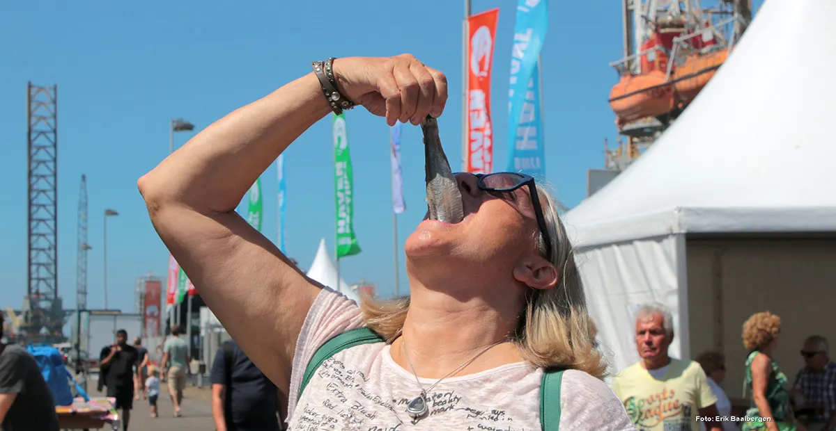 havenfestival ijmuiden kade 1