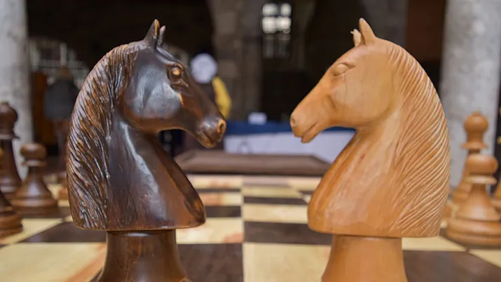 horse 2086609 960 720 pixa