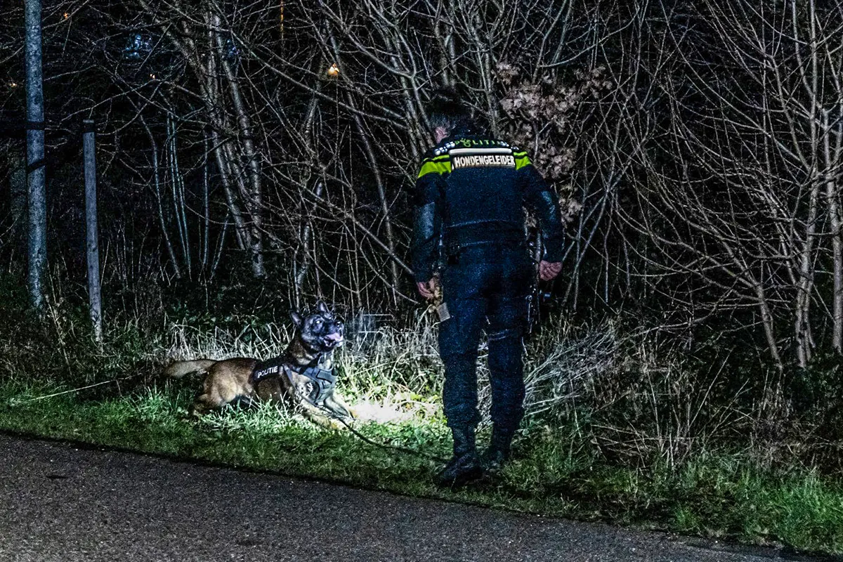 img 20240127 wa0018 copy 2048x1365 kopieren