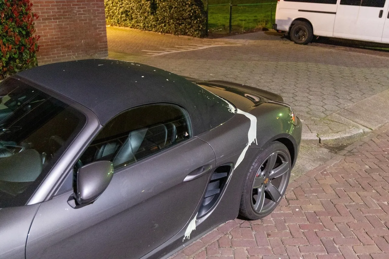 img 20240304 wa0007 copy 2048x1365