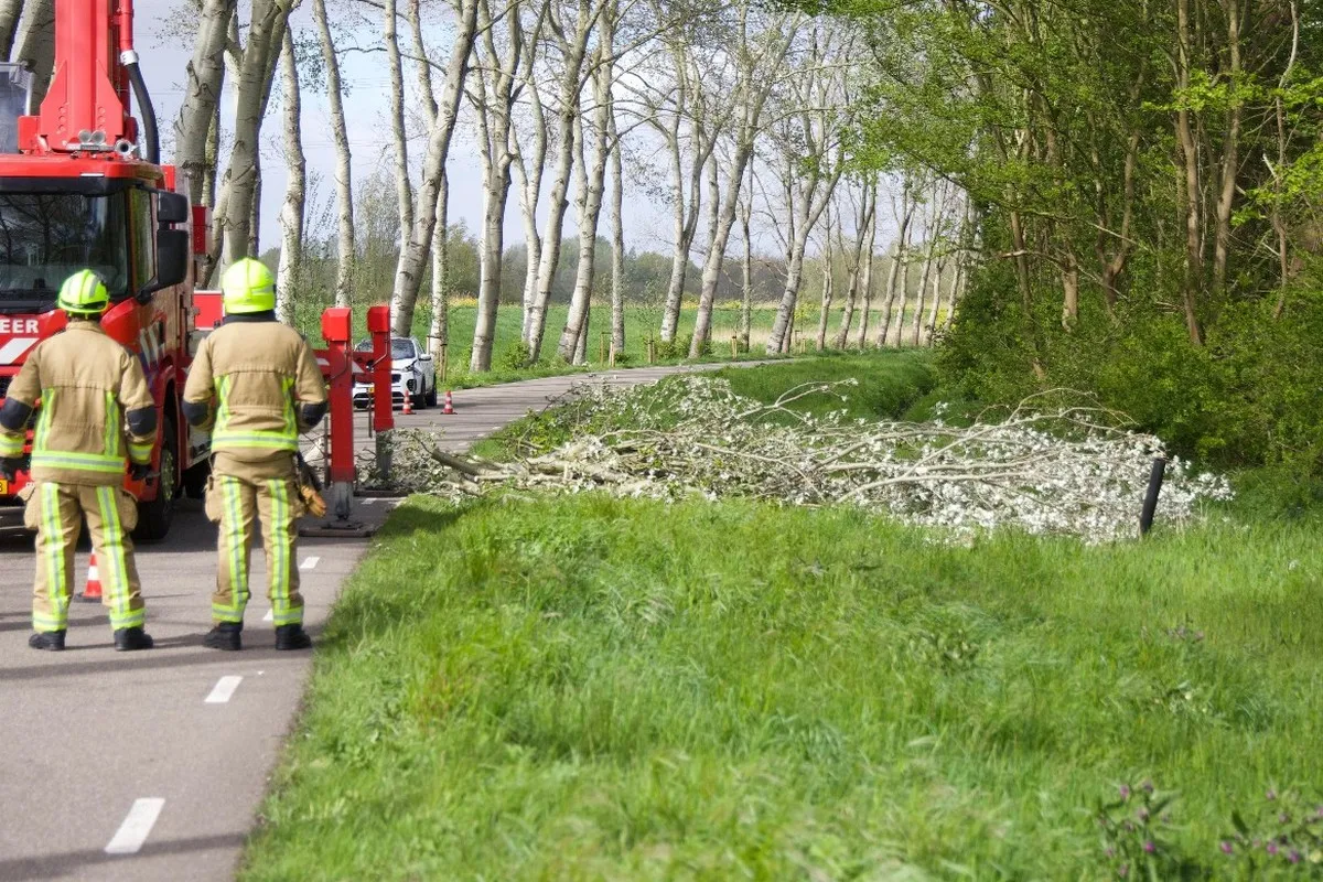 img 20240419 wa0118 copy 1166x777