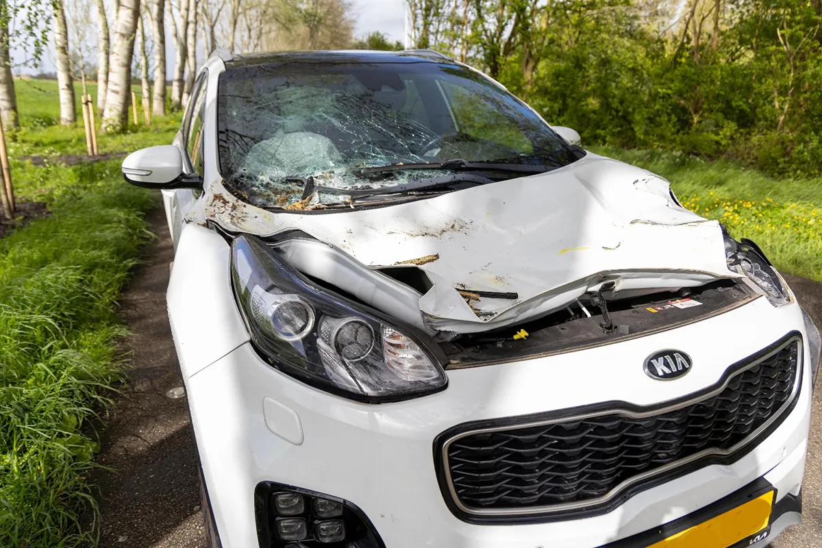 img 20240419 wa0138 copy 1536x1024