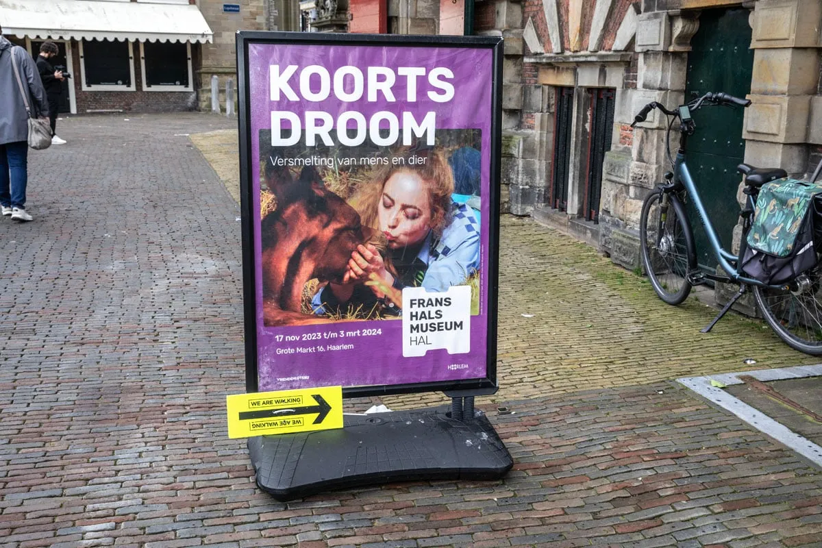 koortsdroom art