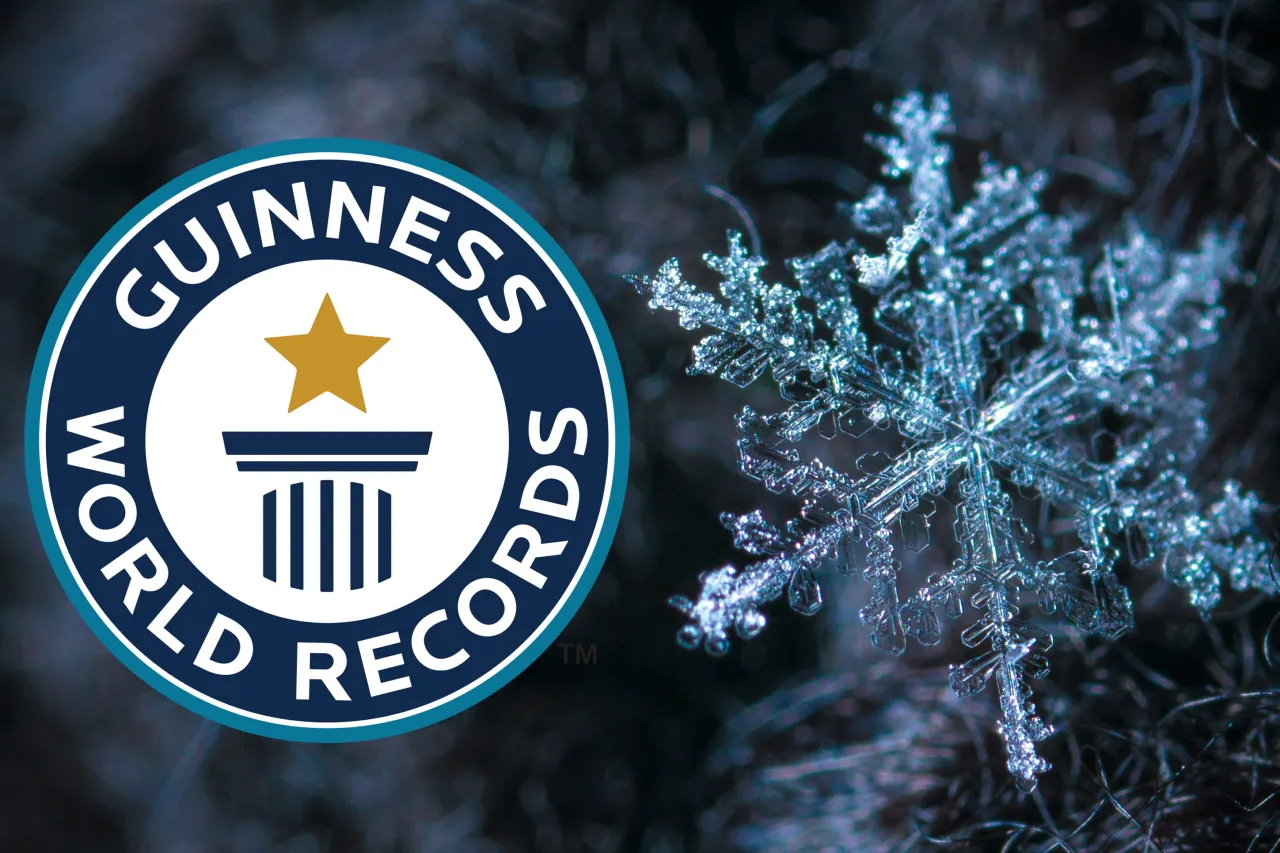 pexels egor kamelev 813872 guinness scaled