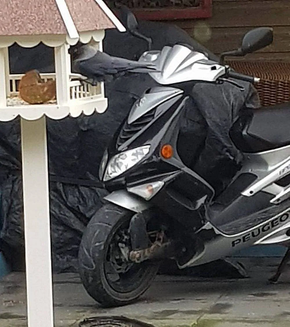 scooter hzm