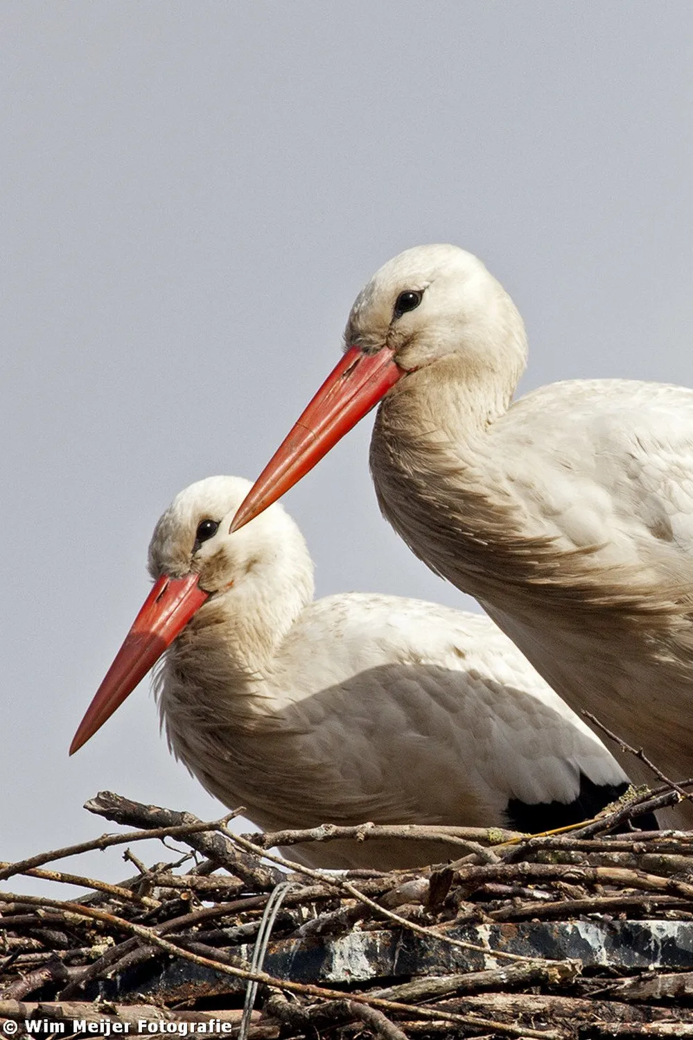 tumblr mw1nwpepga1svvyvco1 1280