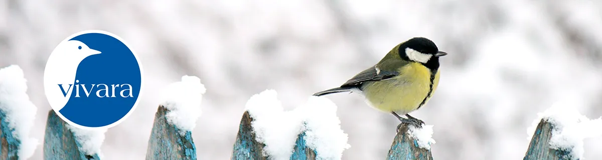 unnamed 2023 01 04t161459573