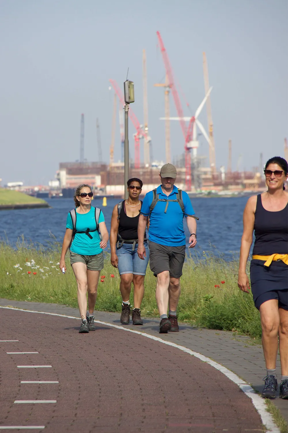 vissenloop ijmuiden 2