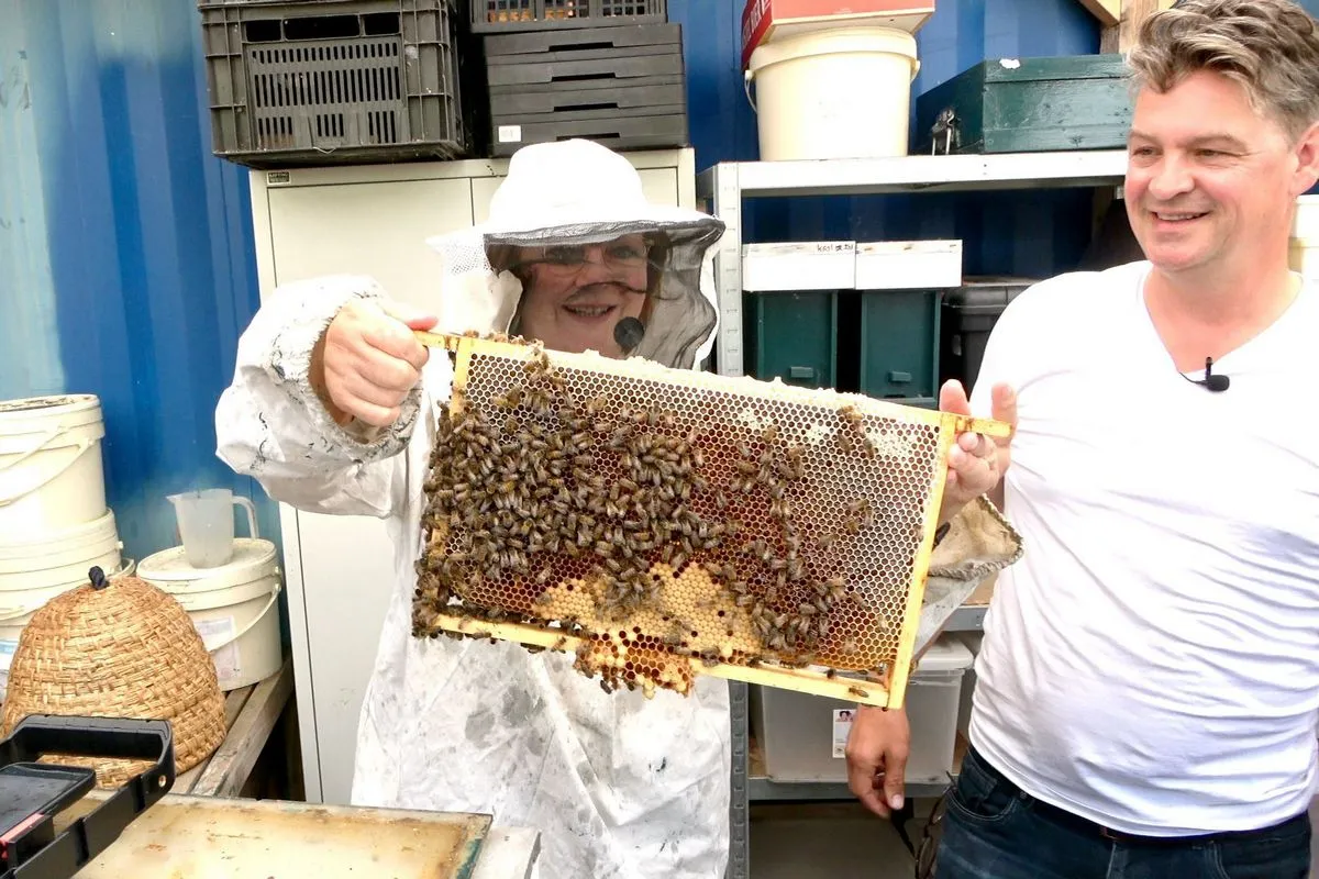 whatsapp image 2023 06 17 at 123334