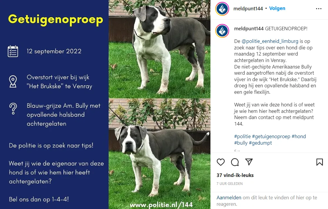 144 hond