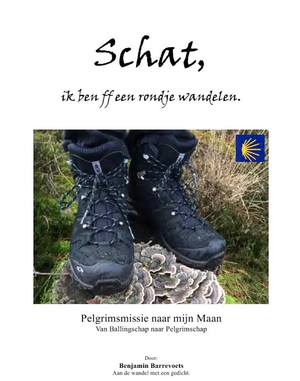 boek eric van de ligt