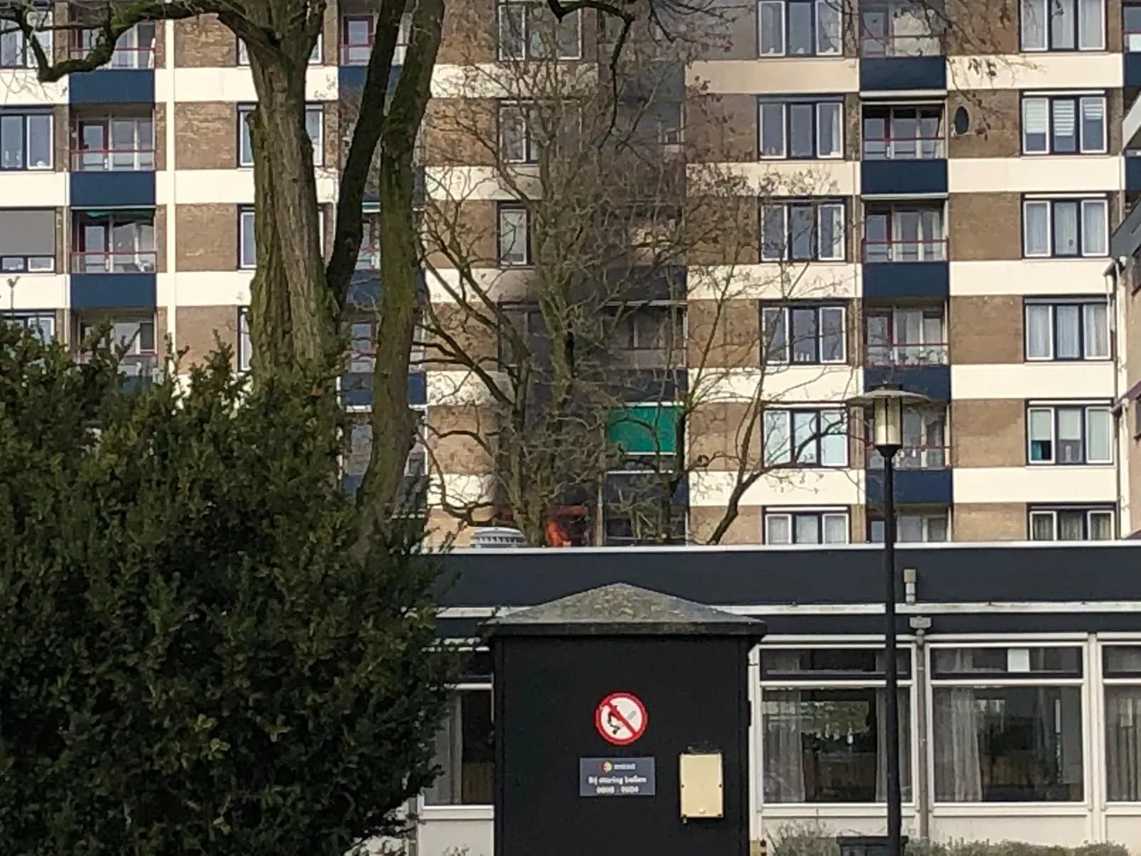 whatsapp image 2020 03 06 at 162009