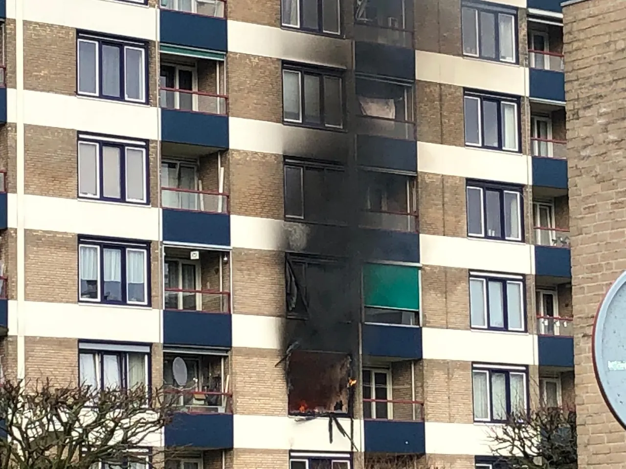 whatsapp image 2020 03 06 at 1620101