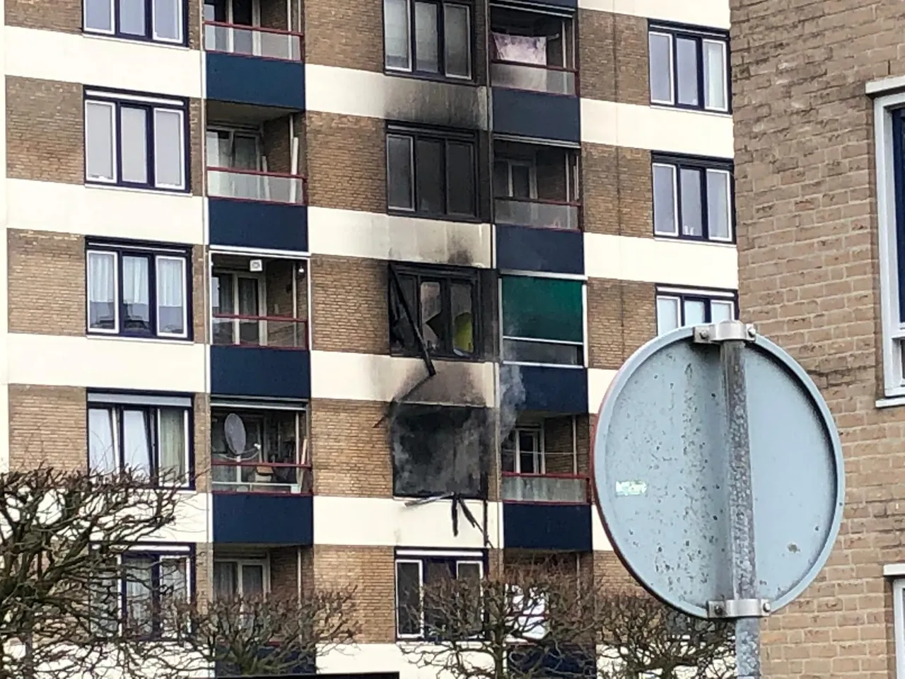 whatsapp image 2020 03 06 at 163435