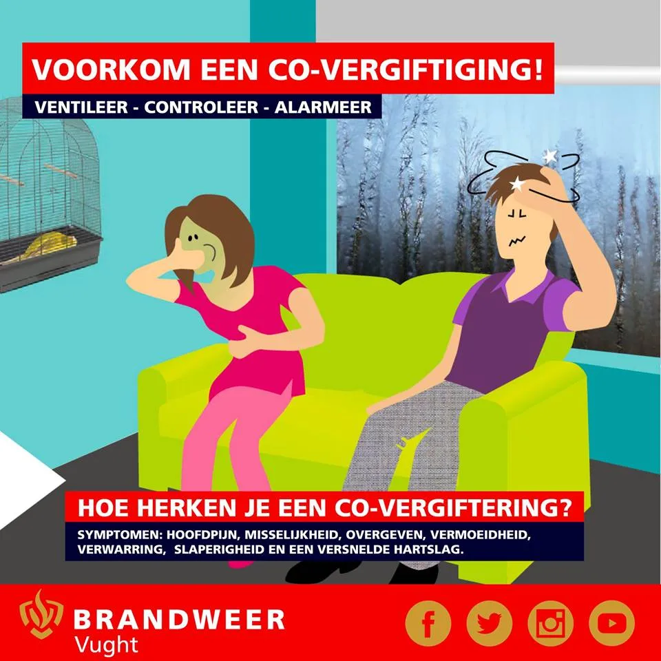 51342223 2084859285139188 1037473904676831232 n