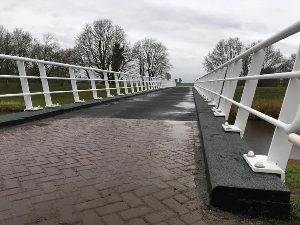 72972445 2929343807118440 5091202907819212800 n