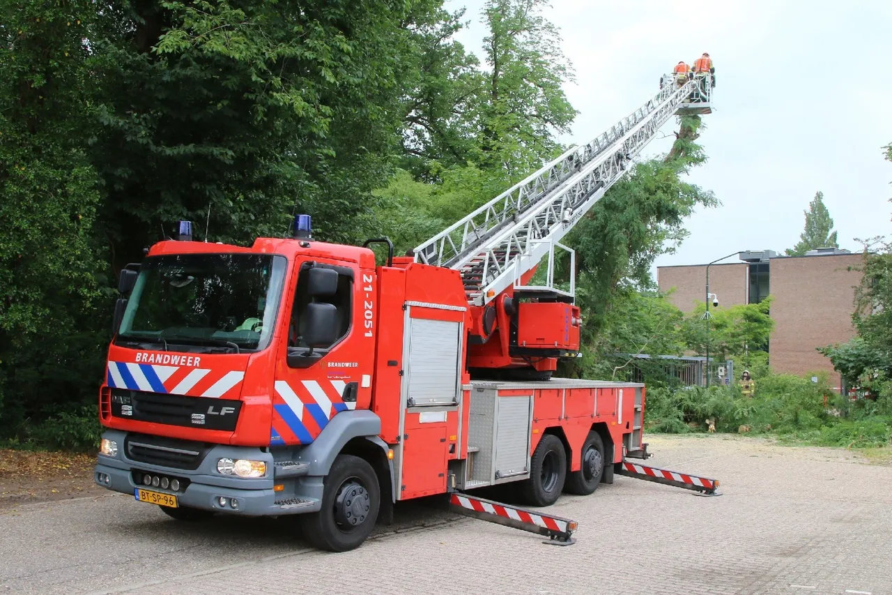 bart meesters 20200616153612 0