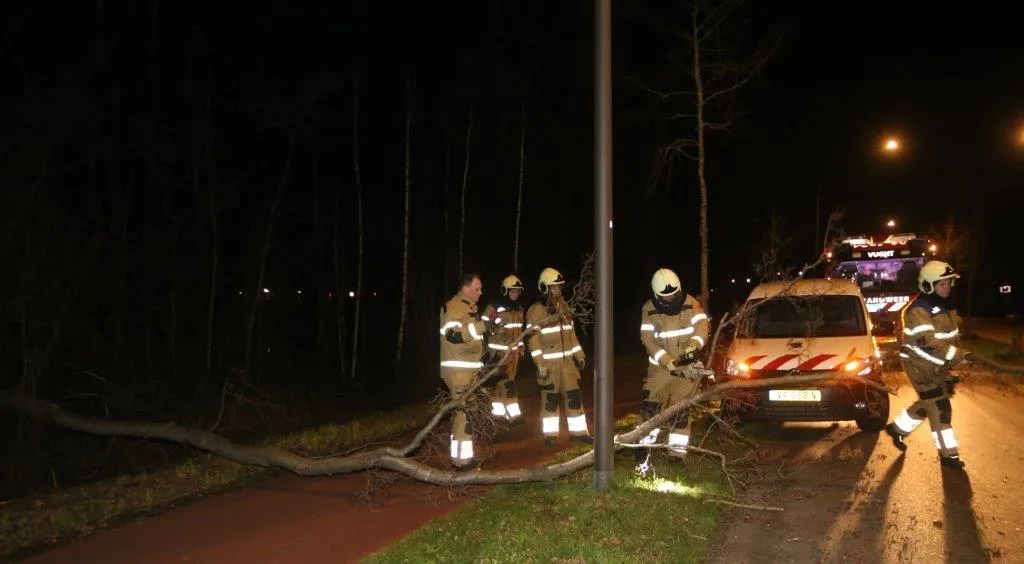 boom over de weg postweg vught 2