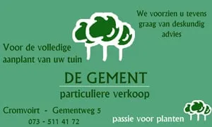 degement
