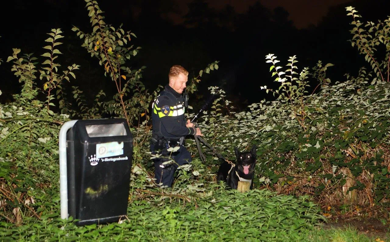 mediamarkt den bosch 3