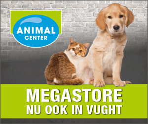 medium rectangle 300x250 vught mei