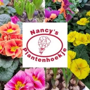 nancy 300x300