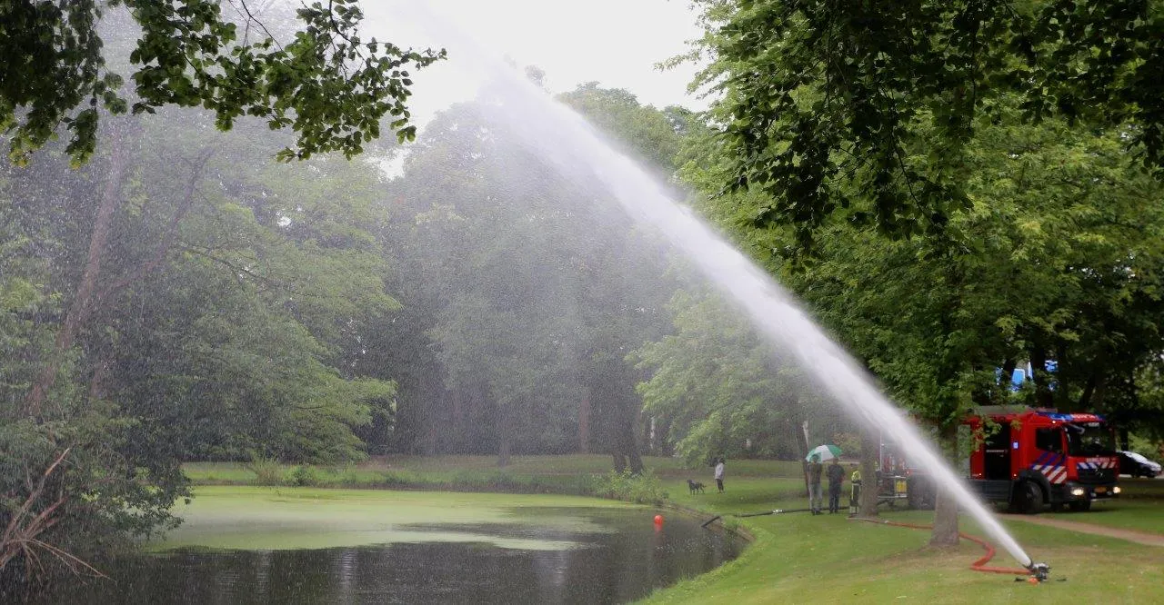 reeburgpark 8