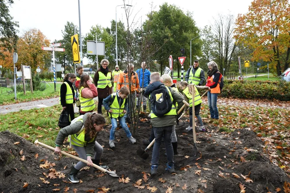 105687 20231101 waalwijk jst1504 8256x5504