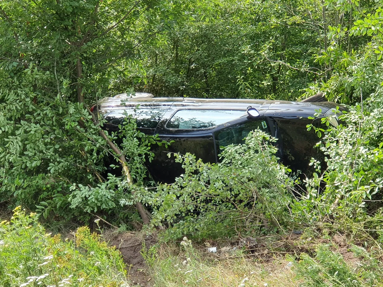 20190721 133421 resized