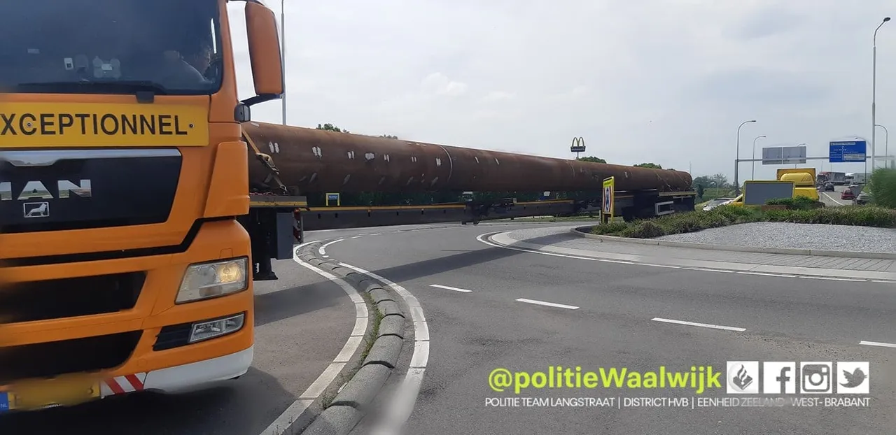 202623198 159465442881350 1060098143087150347 n