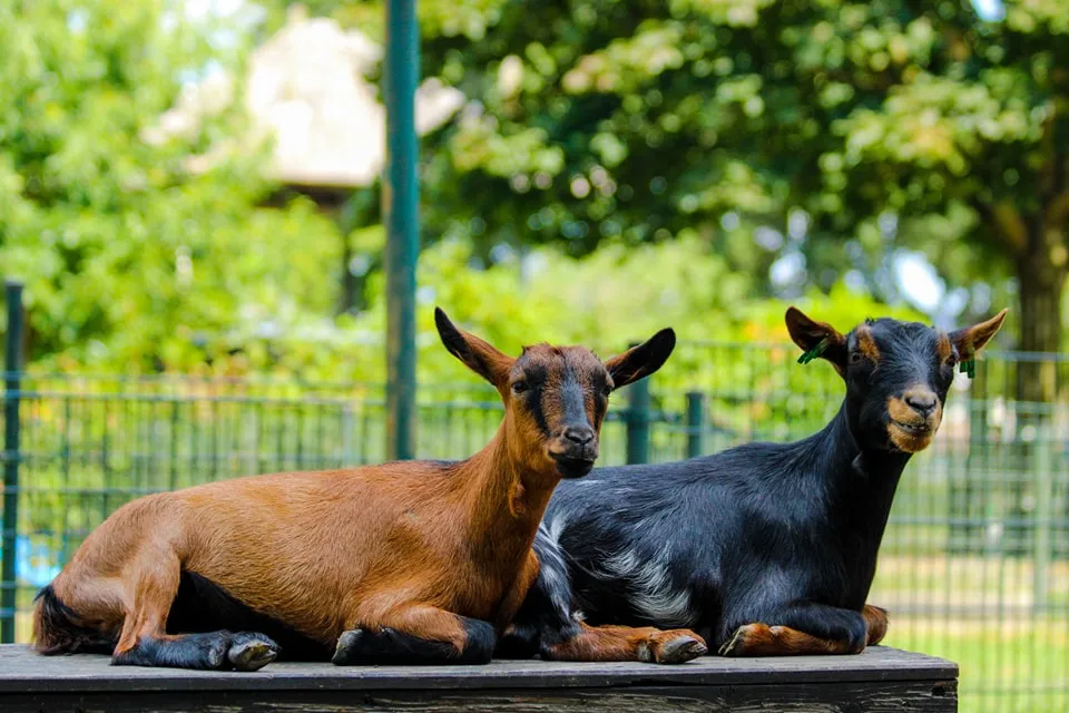 307954608 555417749718954 1611929041834231903 n