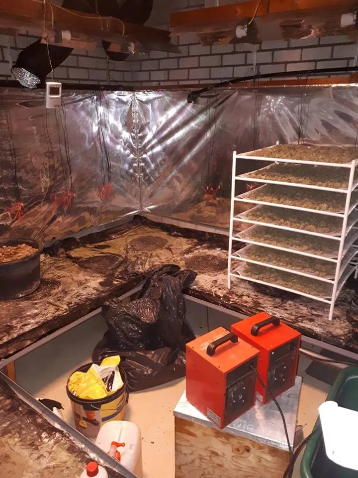 49857684 332423587360251 1854155300286758912 n